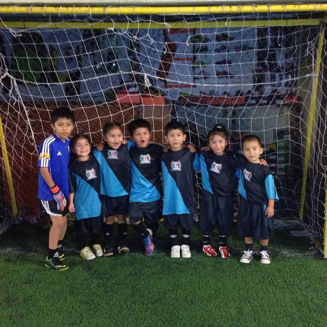 U6–U8